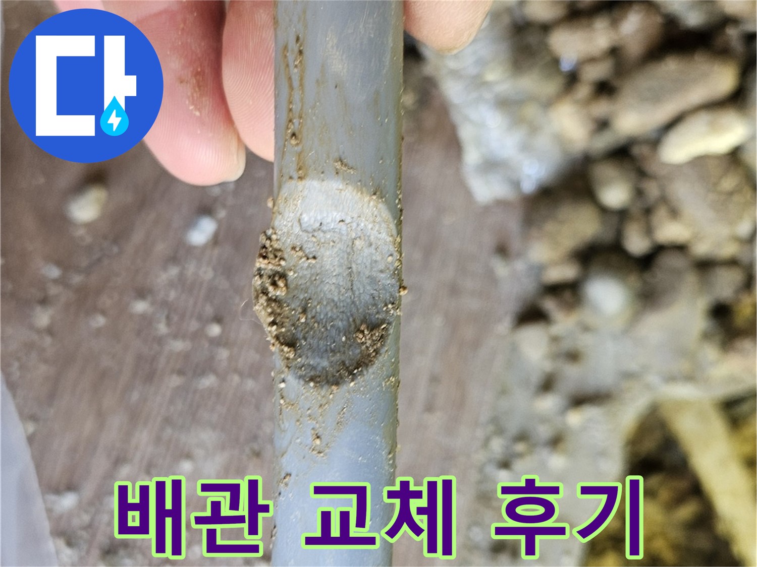 나무 뿌리 제거 및 배관 교체 후기