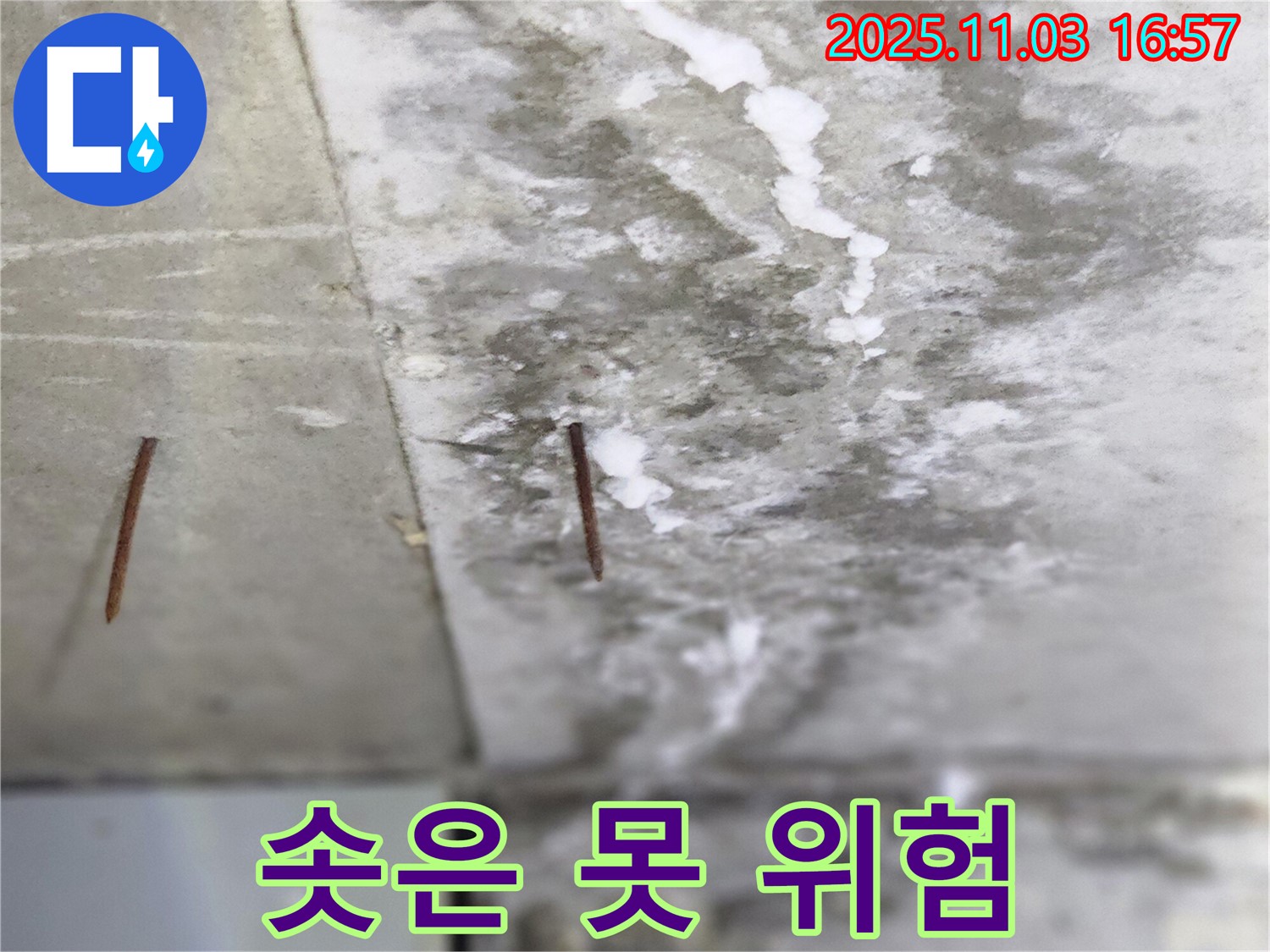 양주시 삼숭동 누수 현장 - 바닥에서 솟아오른 못은 안전사고의 위험이 있습니다 - 즉시 점검이 필요합니다.
