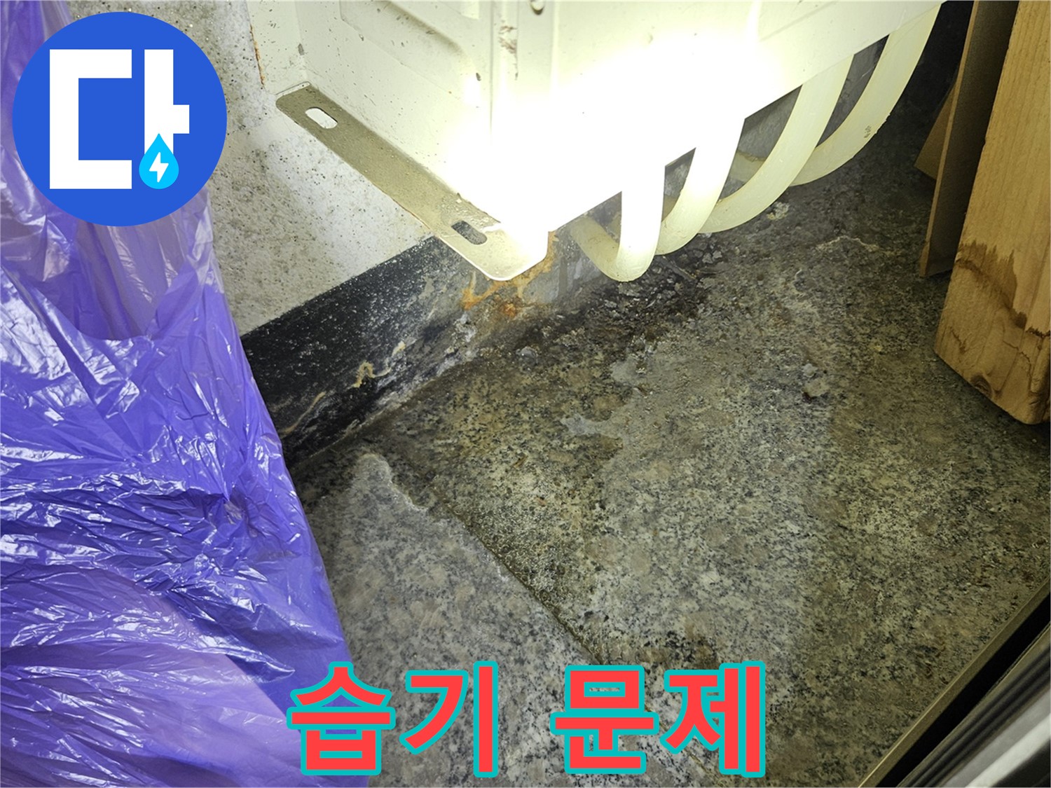 습기로 인한 곰팡이 - 건강 문제 및 건물 손상