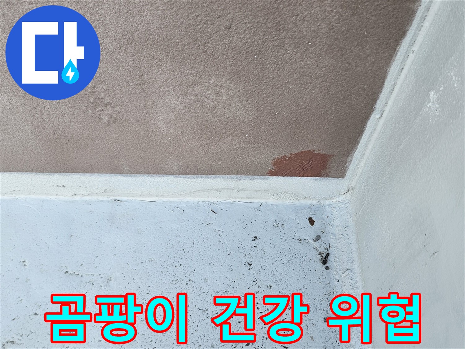 천장 곰팡이 - 건강 위협 - 빠른 해결 필요
