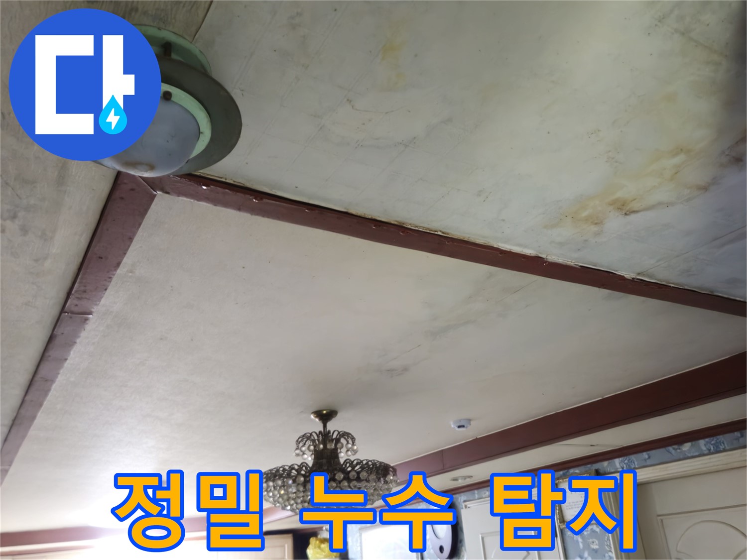 최첨단 장비를 이용한 정밀 누수 탐지 - 정확한 누수 원인 진단