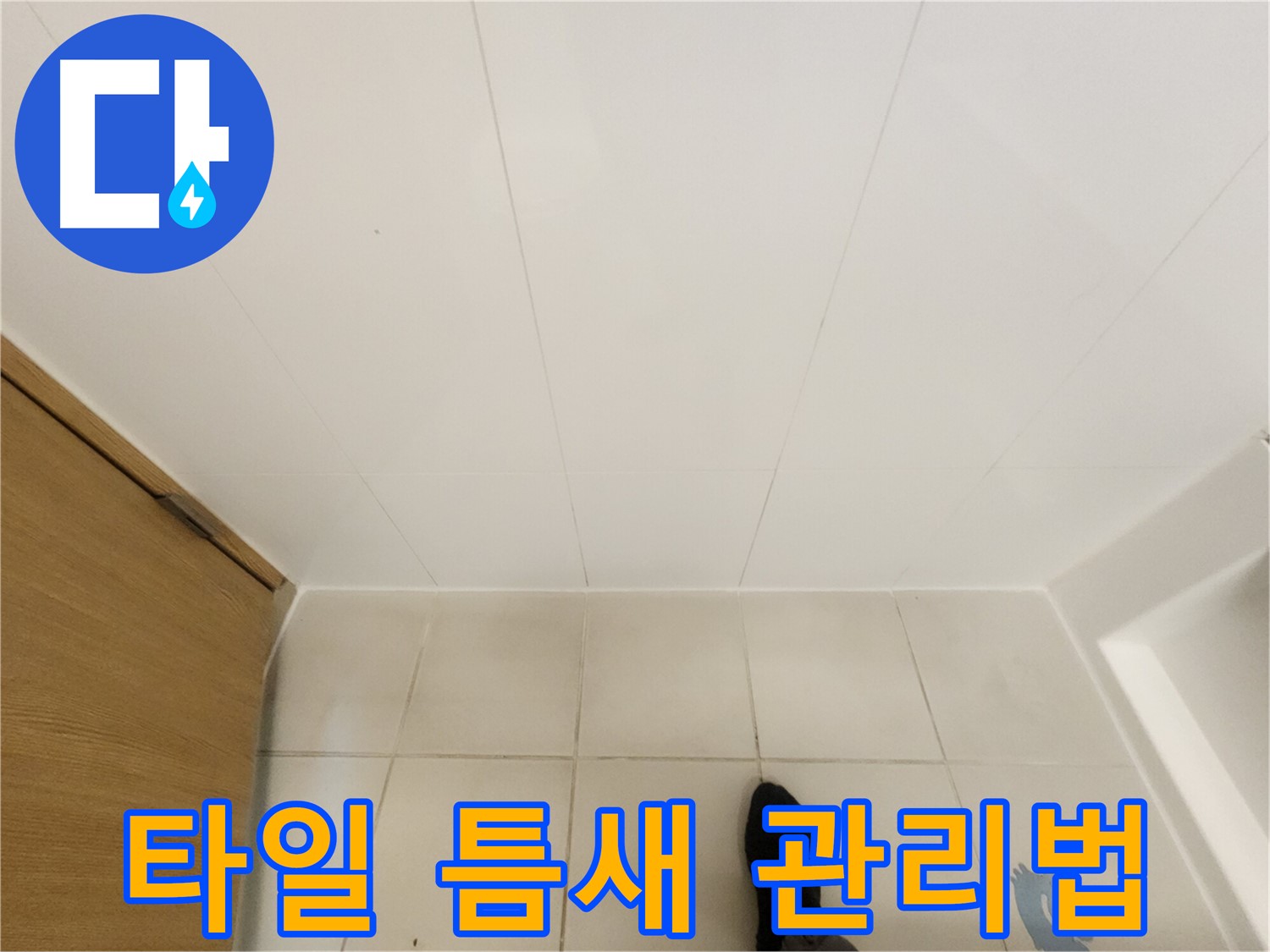 화장실 타일 틈새 - 곰팡이 예방을 위한 관리법 안내