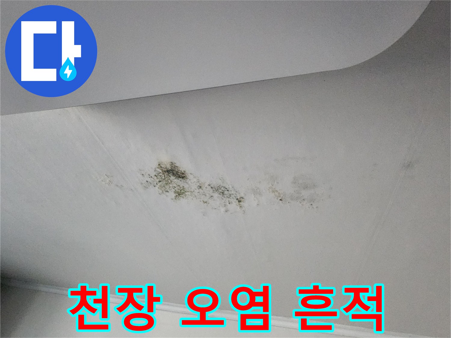 천장-면의-검은색-곰팡이와-변색된-물자국