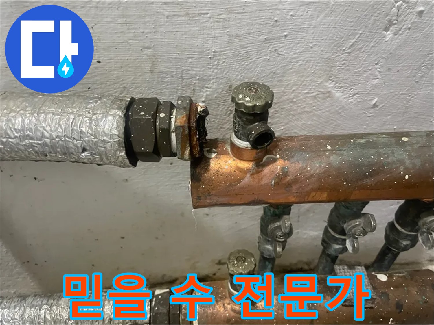양천구 신월동 한일주택 누수 - 믿을 수 있는 누수 전문가, 여기 있어요!