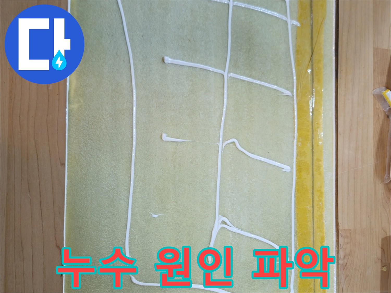 신곡동 누수 - 최첨단 장비 진단 및 재발 방지 보수