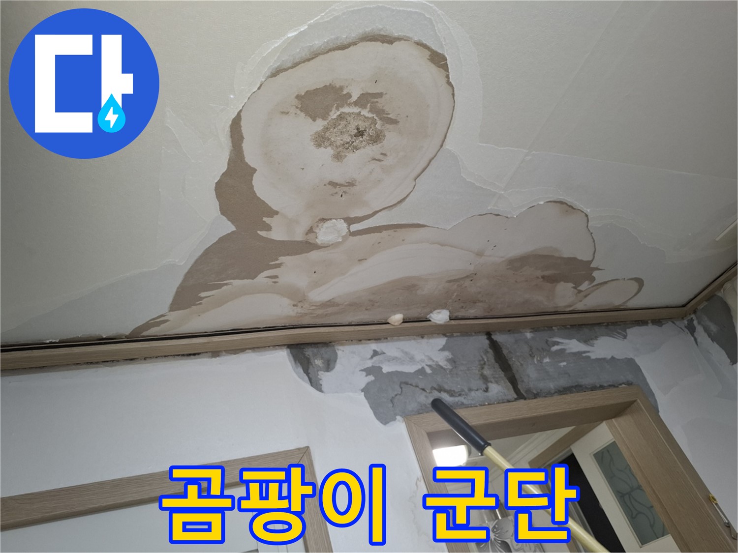 곰팡이 군단 출몰 - 가족 건강, 누수 해결이 먼저!