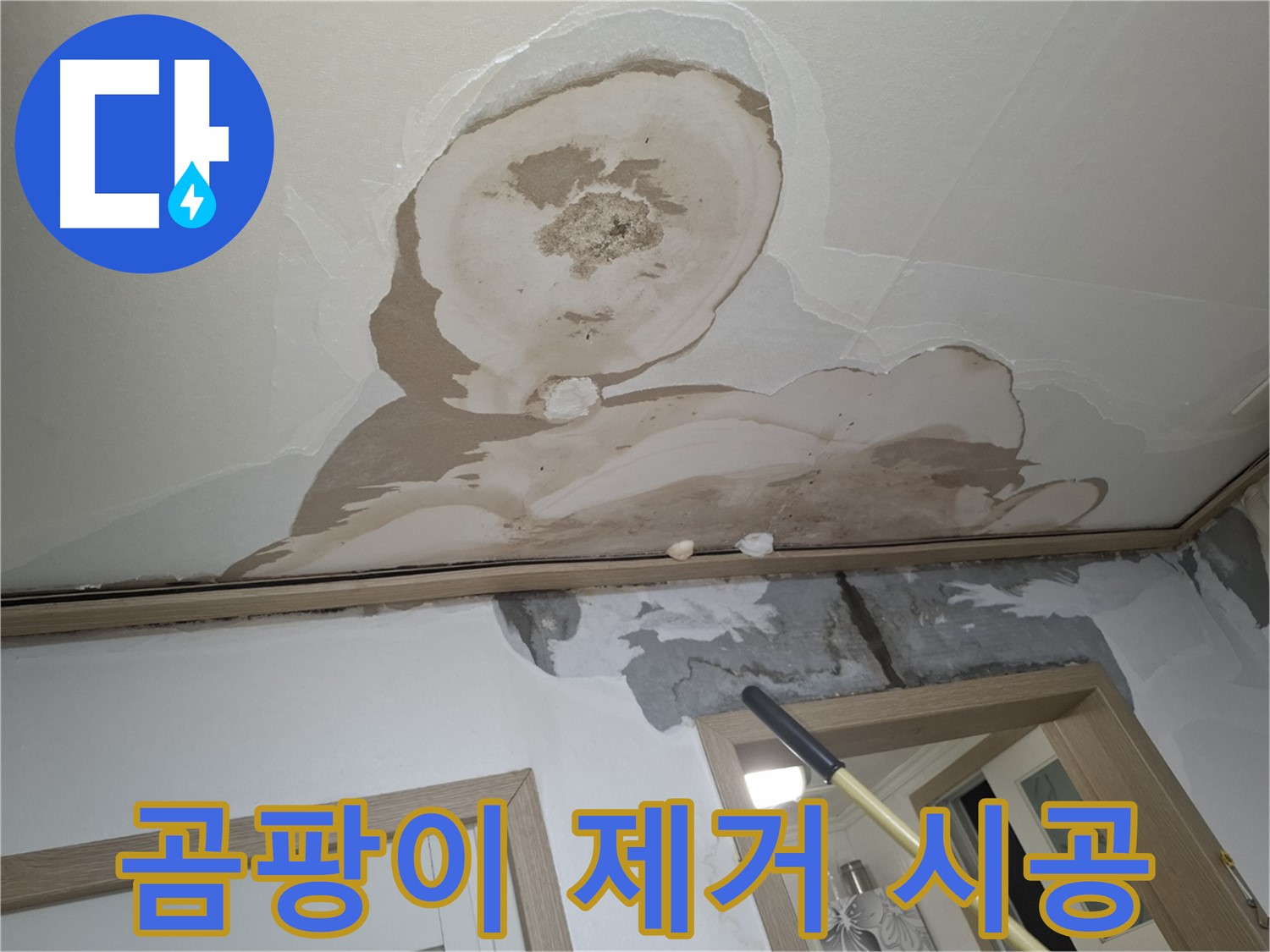 석고보드 곰팡이 - 깨끗하게 제거하고 방지 시공!