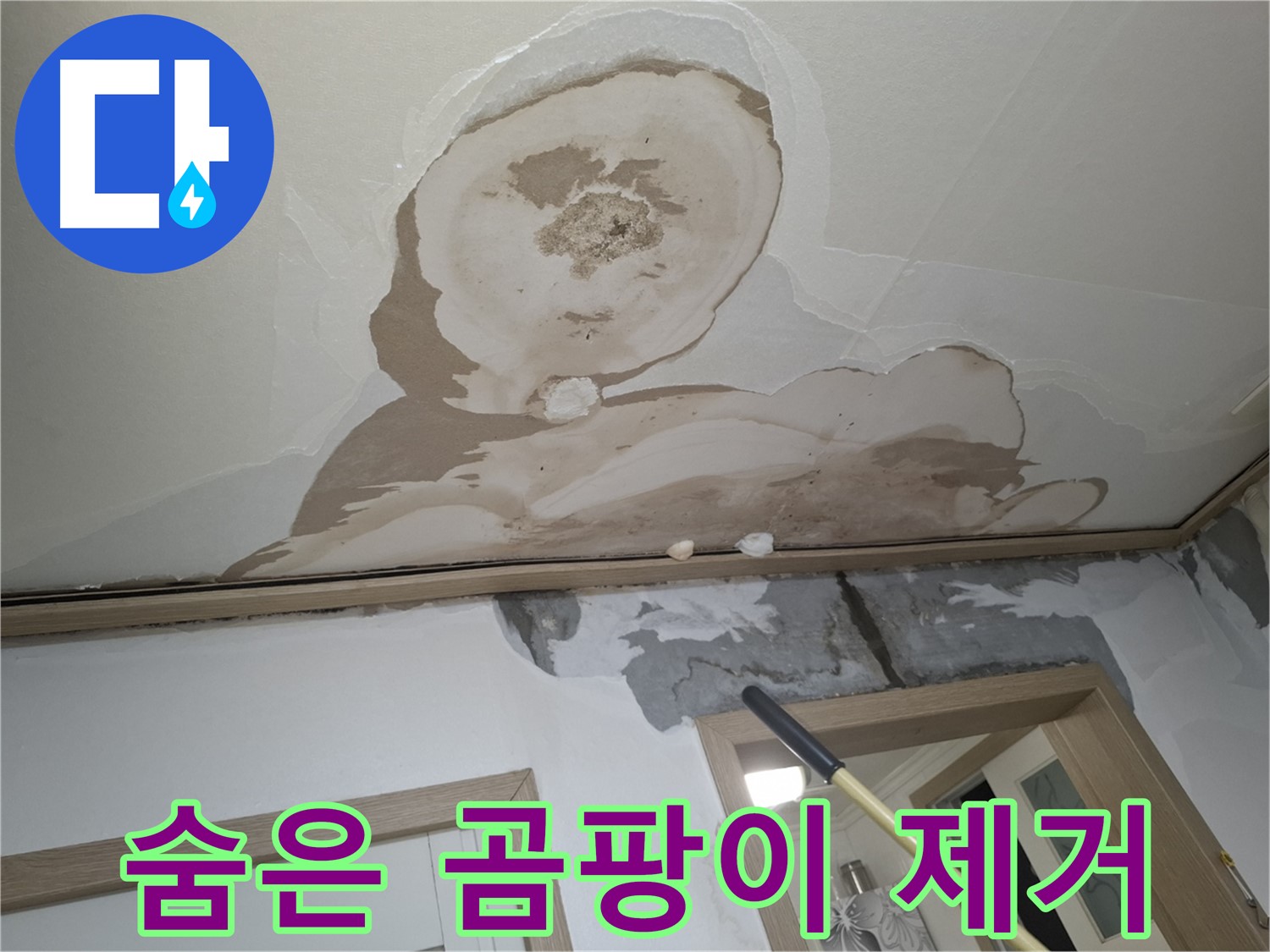 석고보드 속 숨은 곰팡이 - 완벽 제거 및 재발 방지!