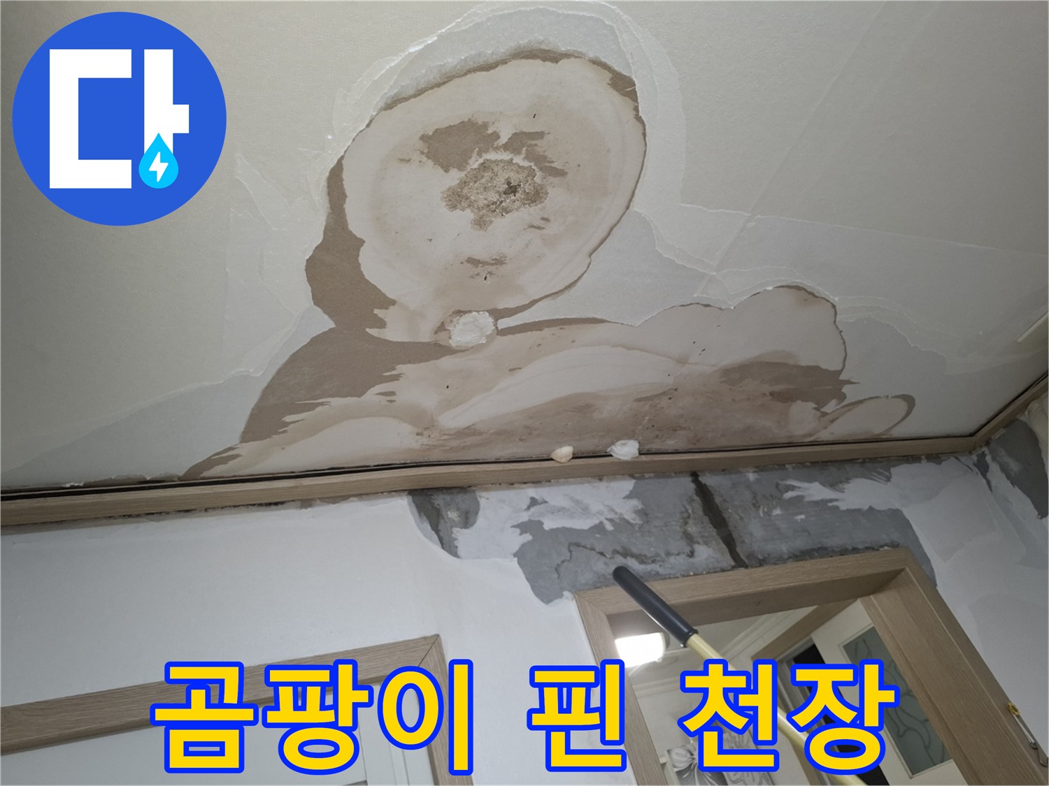 누수로 인해 천장에 곰팡이가 심하게 핀 모습 - 건강에 해로울 수 있습니다.