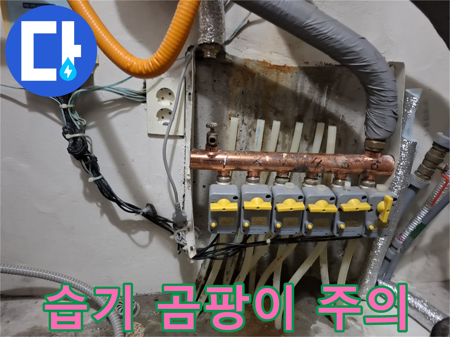신림4동 - 낡은 분배기 주변 - 습기로 인한 - 곰팡이 주의!