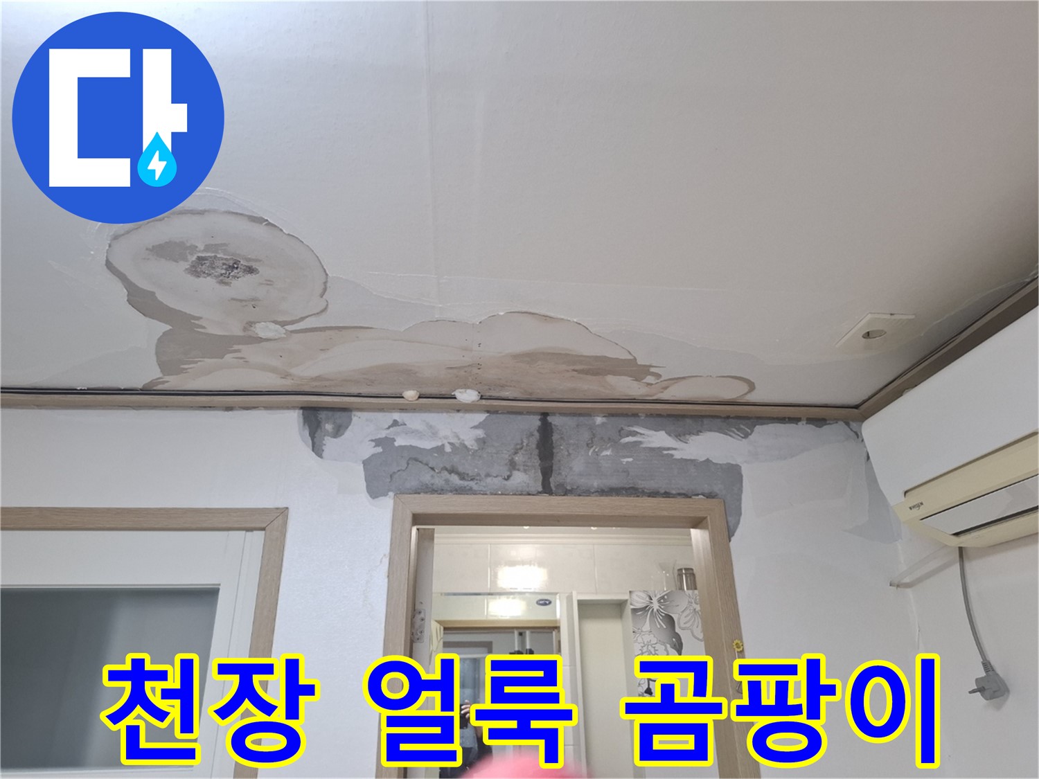 윗집 누수 의심 - 천장 얼룩 - 곰팡이