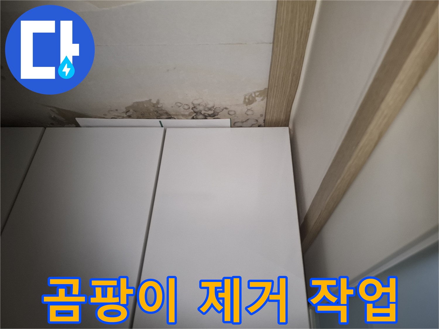 장 위 천장 누수로 인해 발생한 곰팡이를 제거하는 사진입니다.