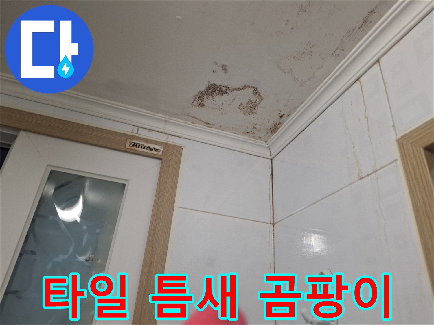 타일 틈새 곰팡이 - 초기 누수 의심 - 꼼꼼 점검