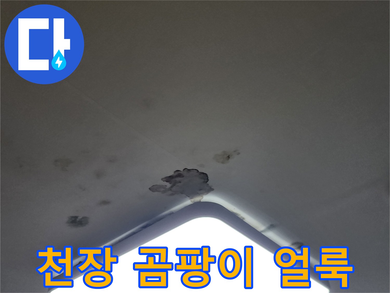 아파트 거실 천장 조명 주변에 발생한 곰팡이와 물 얼룩 상태