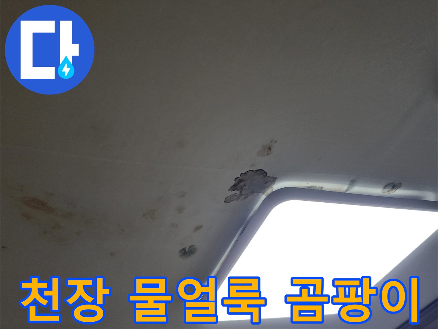 아파트 거실 천장부위-물얼룩과 곰팡이가 발생한 상태입니다