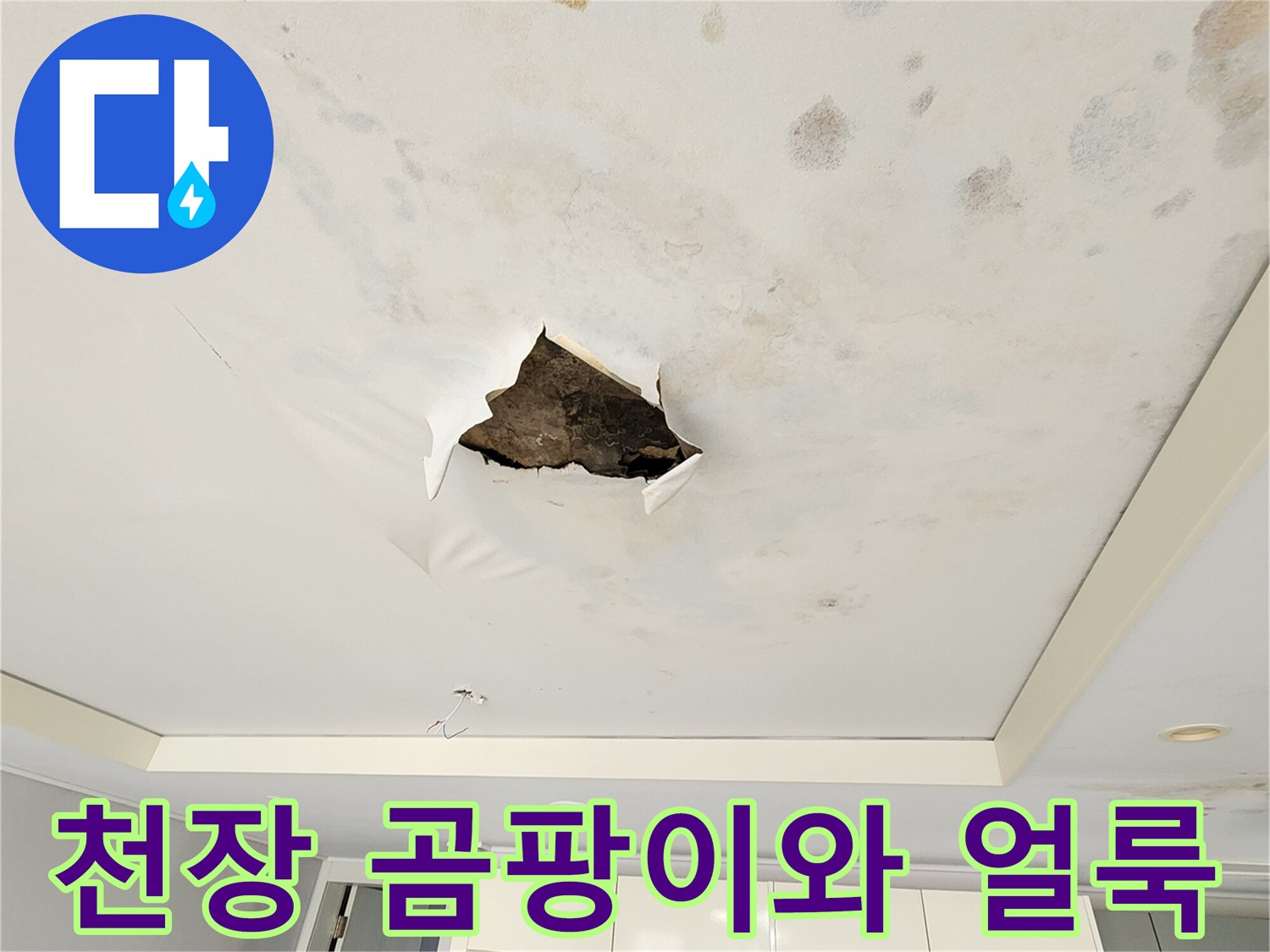 아파트 천장 마감재-얼룩 및 곰팡이 발생 상태