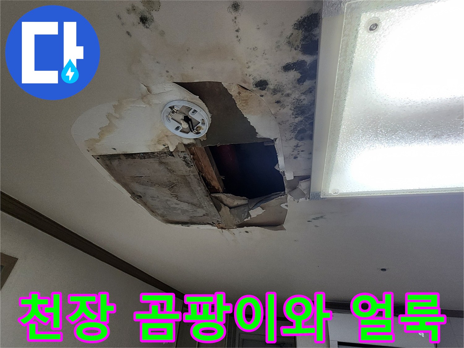아파트-천장-부위에-발생한-심한-곰팡이와-물얼룩-상태