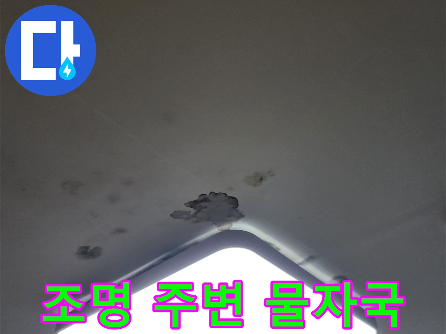 아파트 천장 조명 근처에 나타난 누수 흔적과 오염 부위