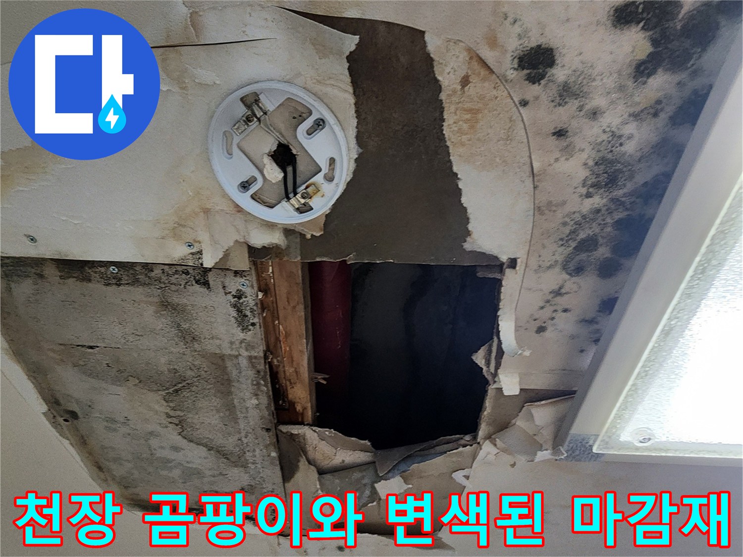 오염되고-젖은-천장-마감재의-상세한-모습