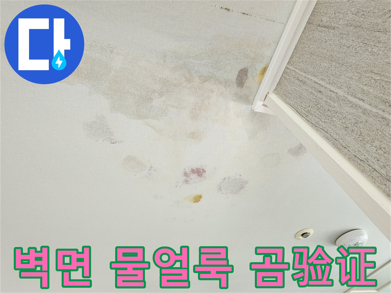 포천 무봉리 아파트 벽면에 발생한 갈색 물얼룩과 곰팡이 흔적