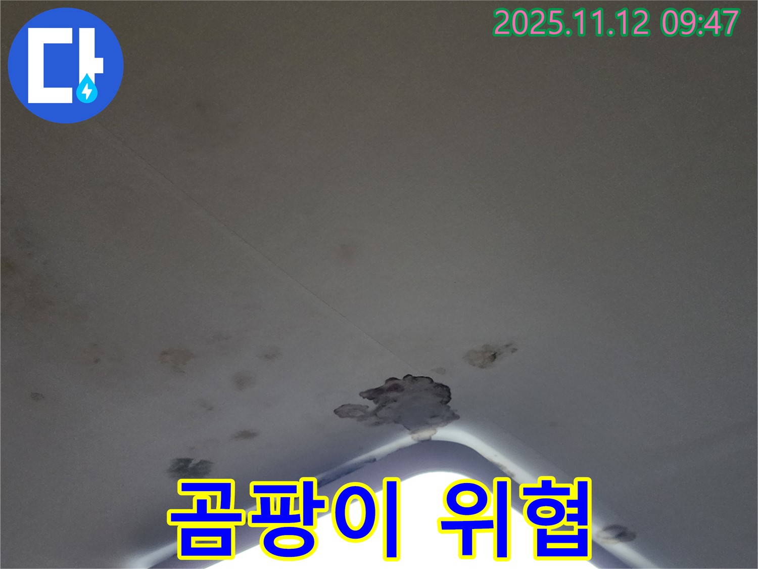 포천 소흘읍 - 천장 누수, 석고보드 손상 및 곰팡이 발생 - 건강 위협