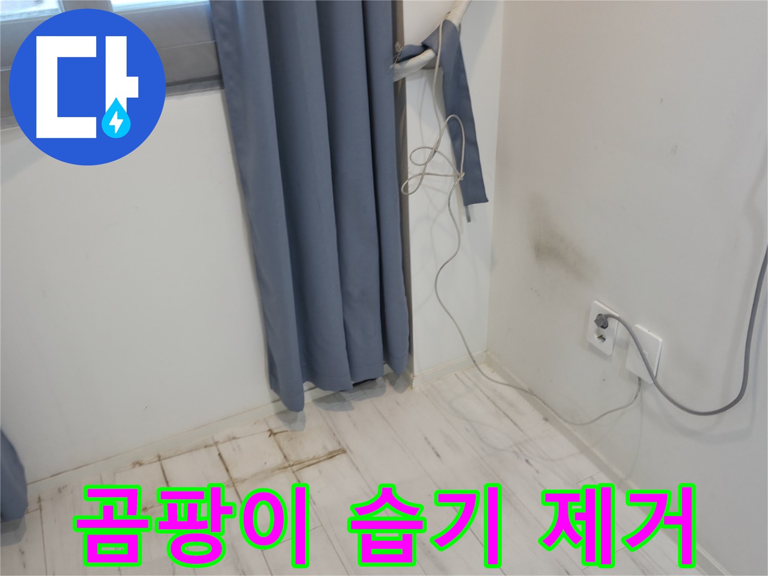 관악구 누수 - 곰팡이와 습기 제거 - 쾌적한 환경
