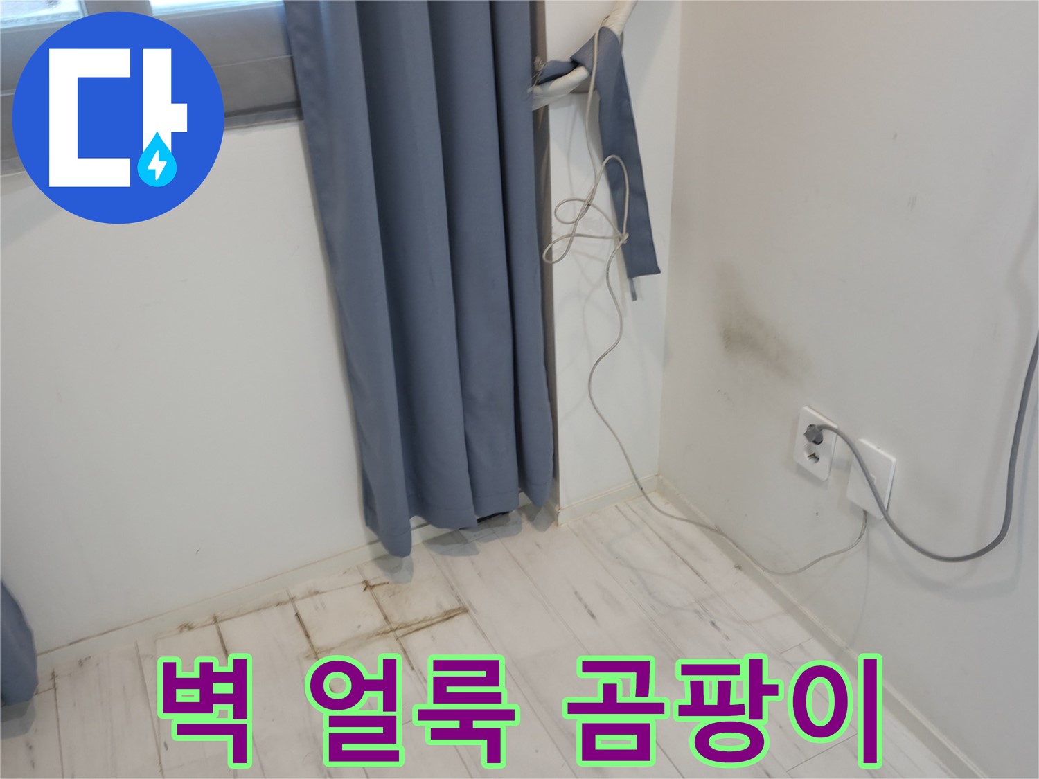 관악구 누수 - 벽에 얼룩과 곰팡이 문제 - 누수 해결 위한 전문 기술