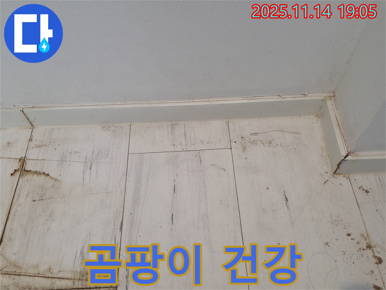관악구 누수 - 장판 밑 곰팡이, 건강에 적신호가 켜졌습니다!