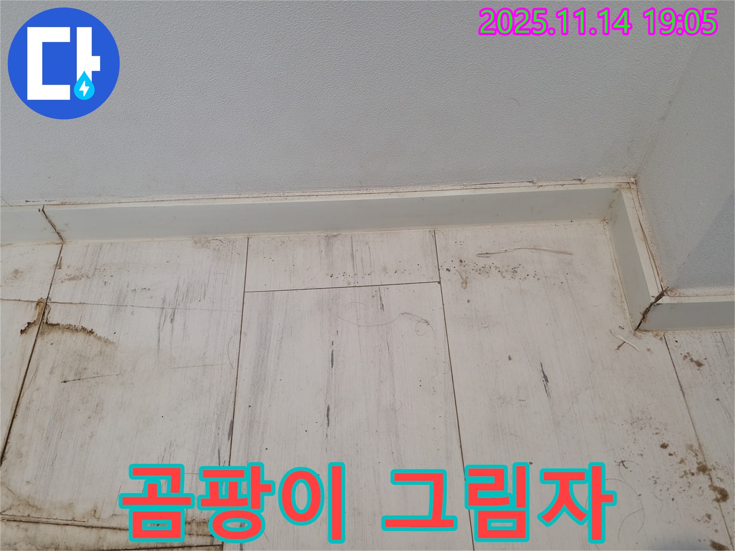 관악구 누수 - 젖은 장판, 곰팡이의 검은 그림자가 드리워져 있습니다.
