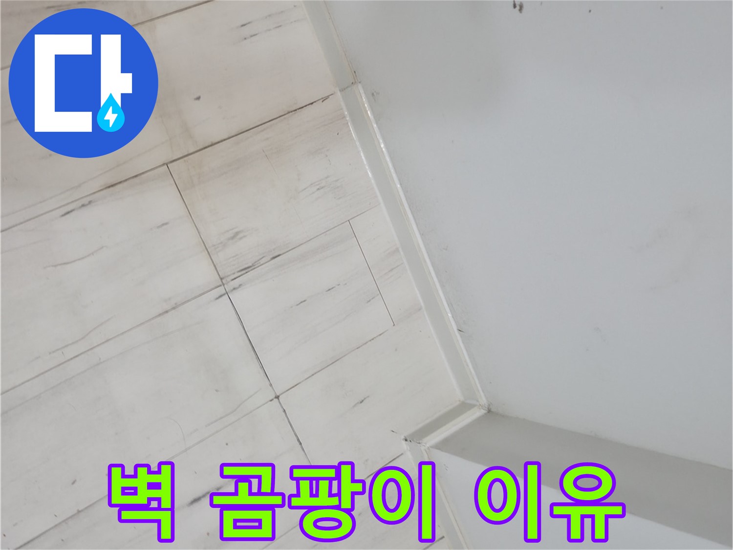 관악구 벽 곰팡이 누수 원인 해결 시공 사진