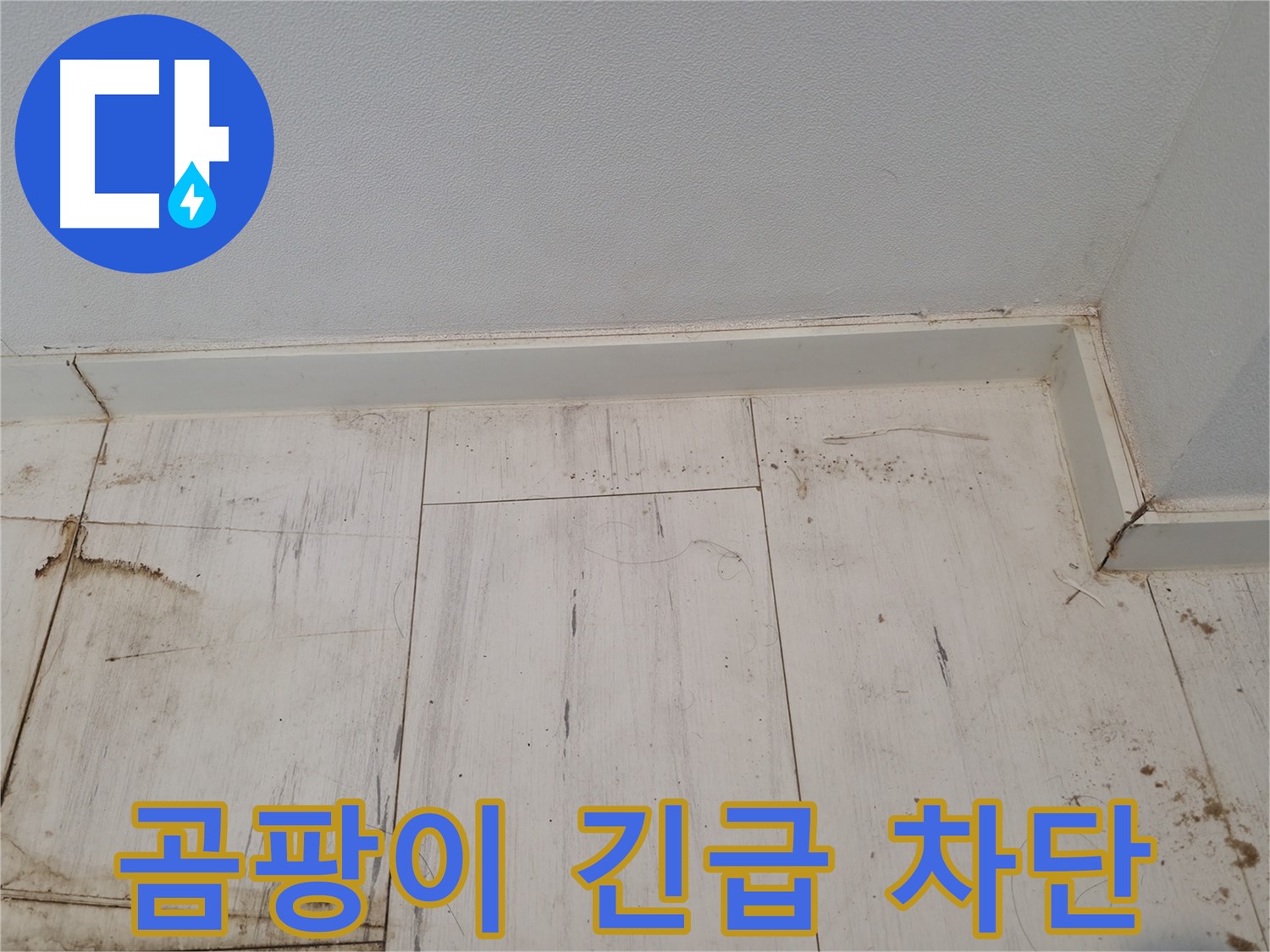 신림동 누수 - 마루 곰팡이 긴급 차단 시공 - 긴급 해결