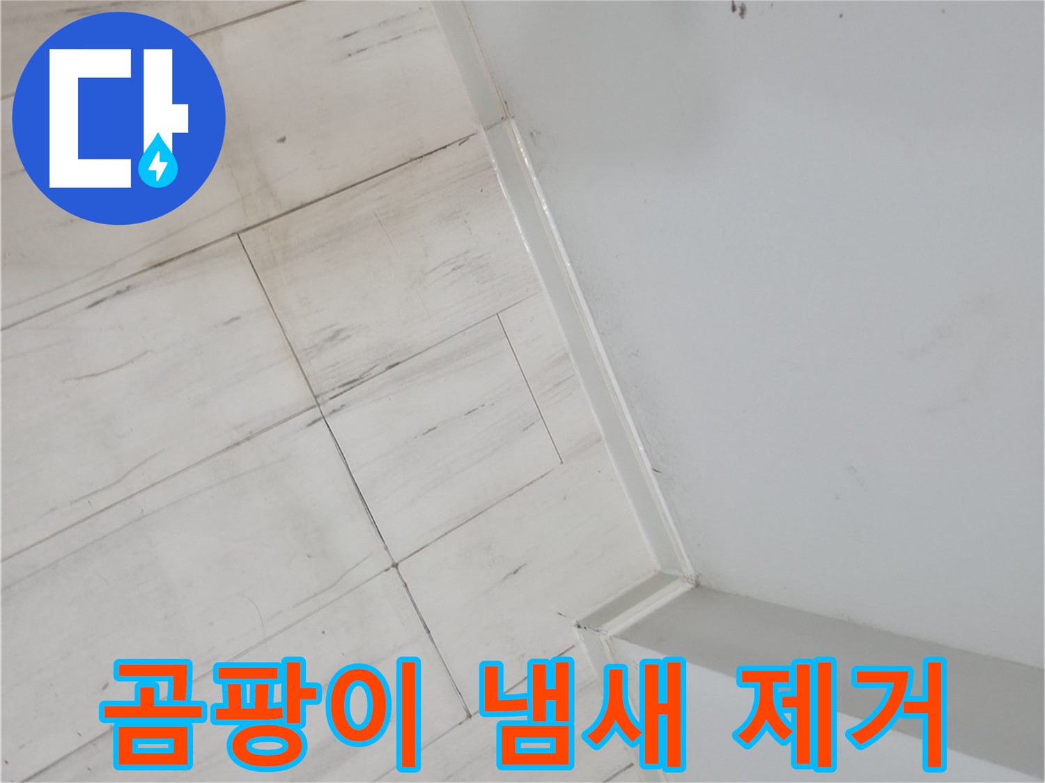 신림동 장판 밑 곰팡이 냄새 누수 예방