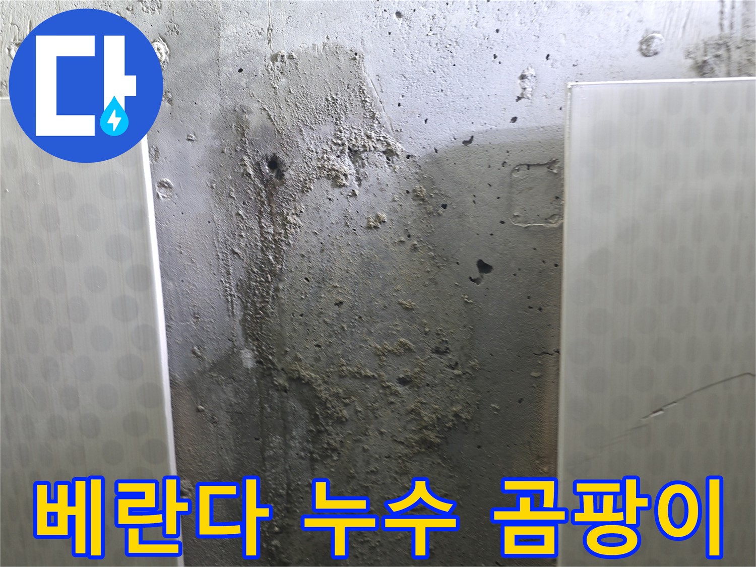 성북구 00동 베란다 콘크리트 벽 누수 - 곰팡이 제거 및 방수 시공으로 쾌적한 공간으로