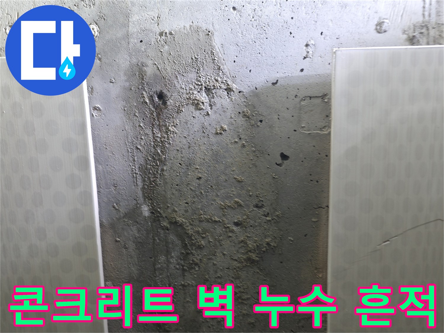 성북구 북악산로 콘크리트 벽 누수 - 곰팡이와 석회 흔적, 누수 문제 심각성 보여줌