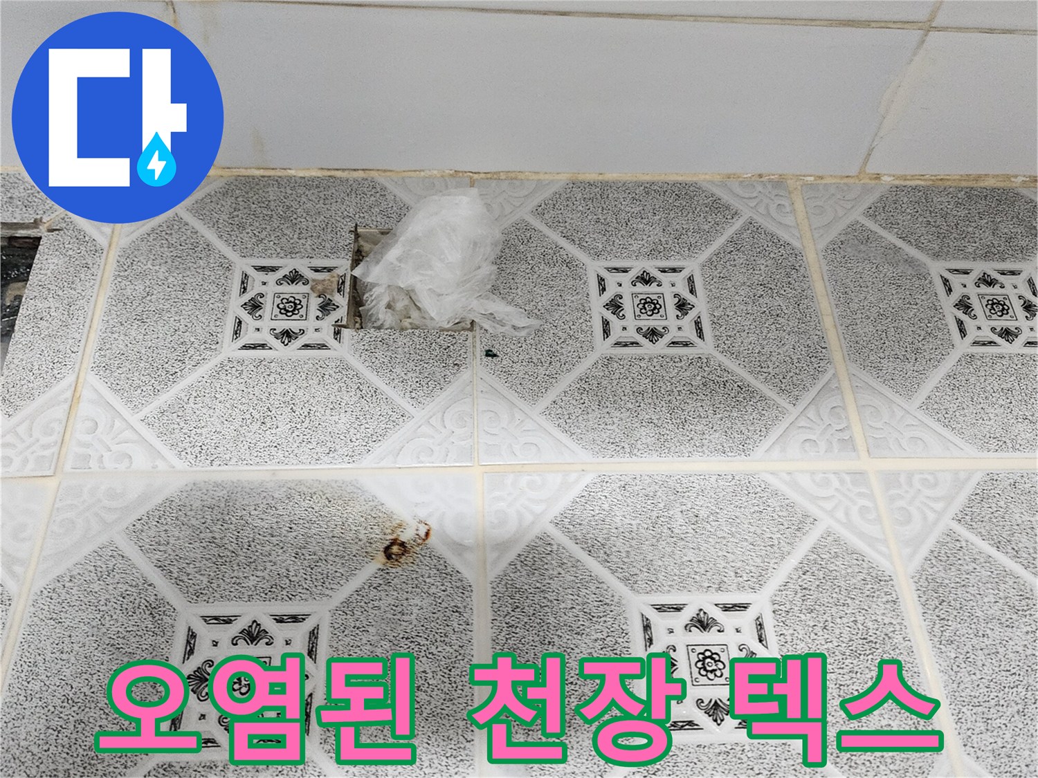 구읍리 현장-물샘으로 인한 천장 패널의 곰팡이 오염