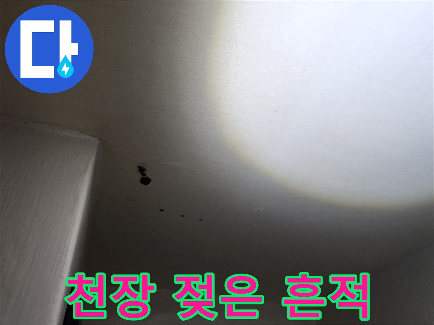 구읍리 현장 사진-천장에 나타난 습기와 곰팡이 오염
