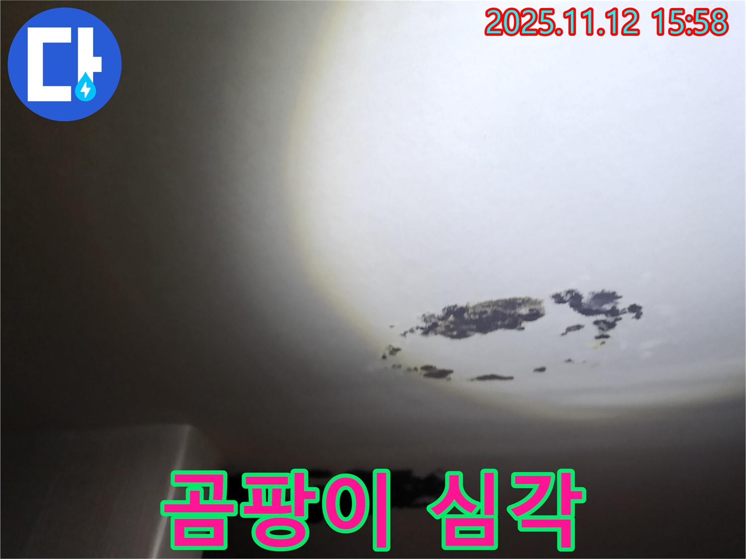 군내면 - 곰팡이가 심하게 핀 천장 누수 현장