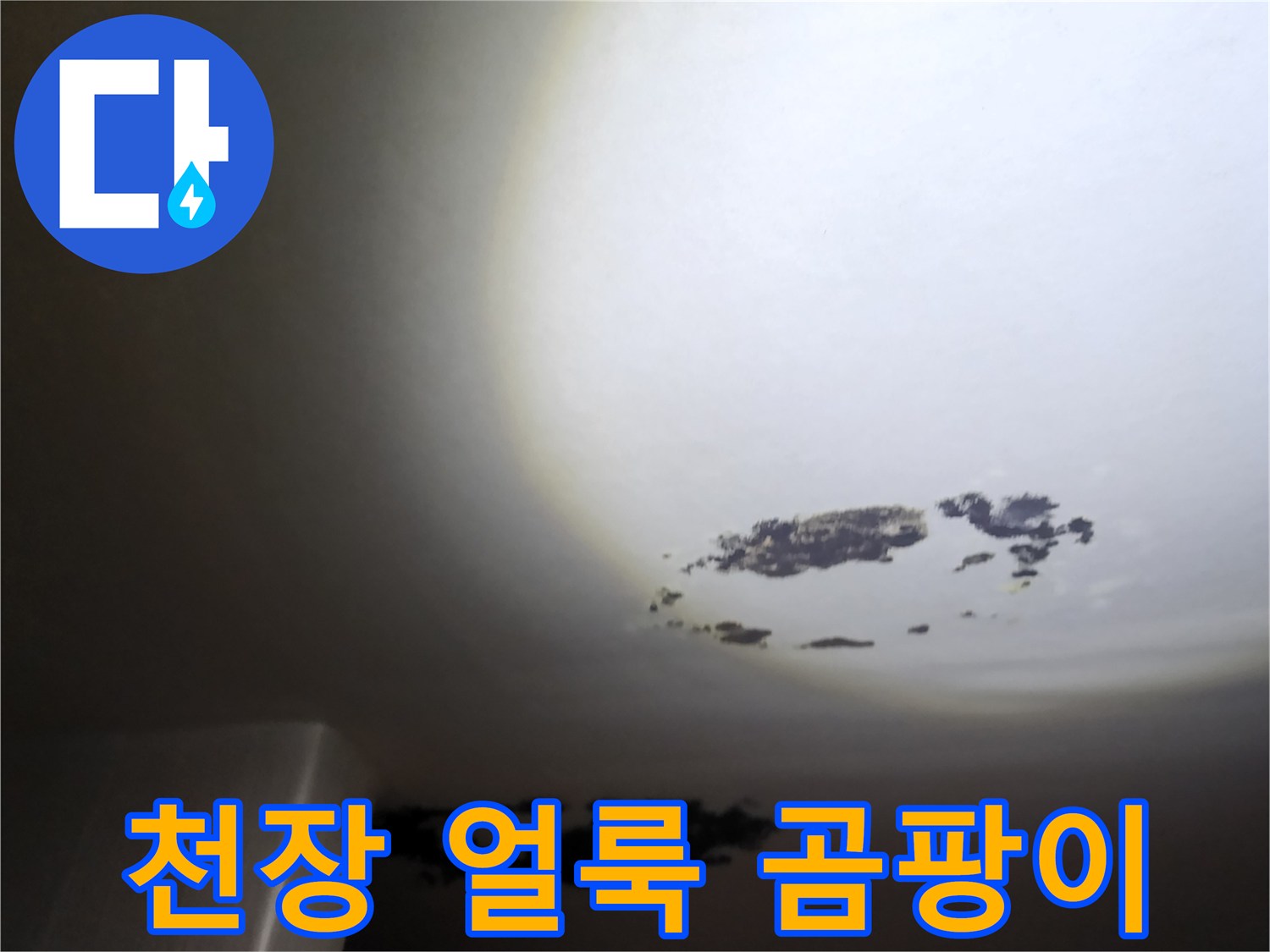 물샘으로 인해 검게 변한 천장의 곰팡이와 얼룩 현상