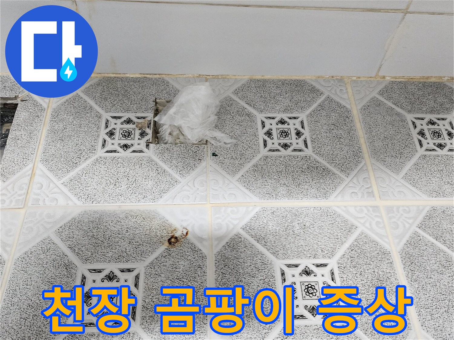 천장 마감재 부위-곰팡이가 발생한 천장 내부 상태