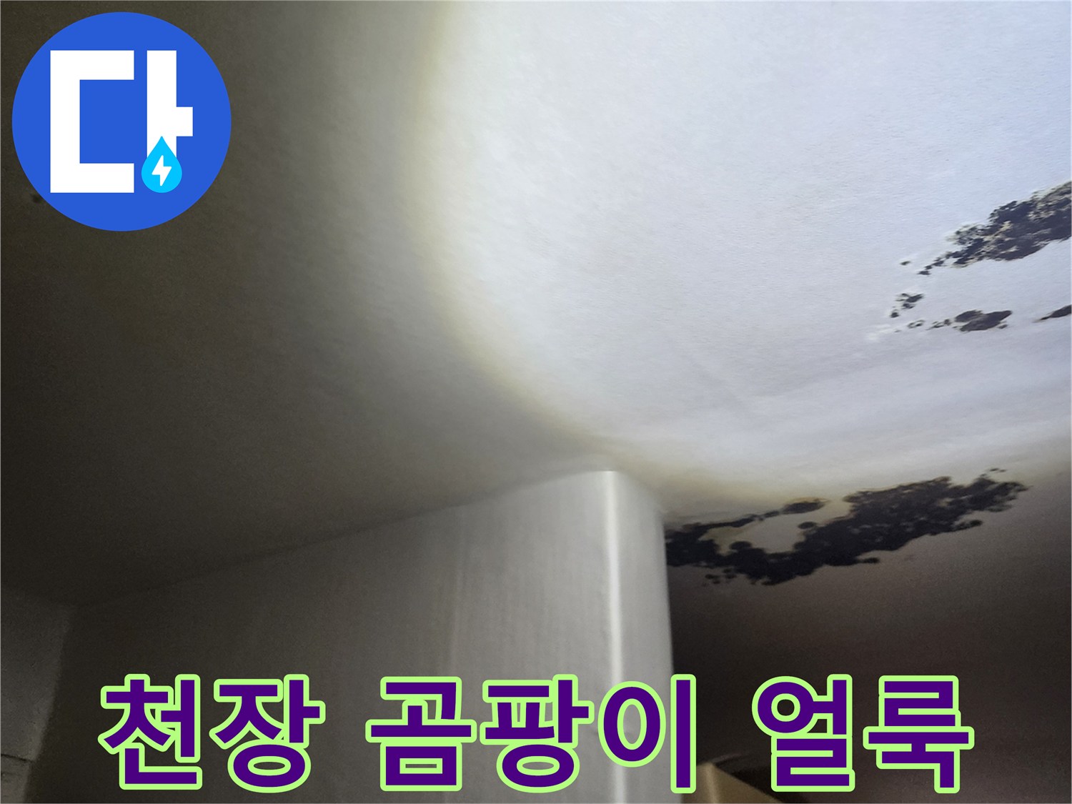천장 모서리 오염-물샘 흔적과 검은 곰팡이가 번진 모습