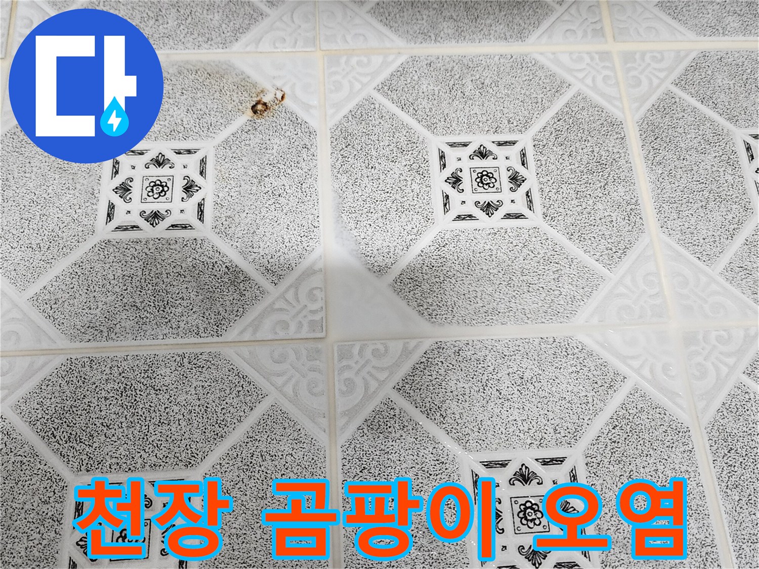 천장재 표면에 번진 검은색 곰팡이와 습기 흔적
