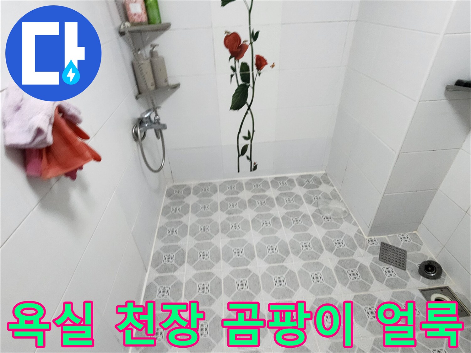 축축한 상태의 욕실-천장 타일 틈새 곰팡이 현상