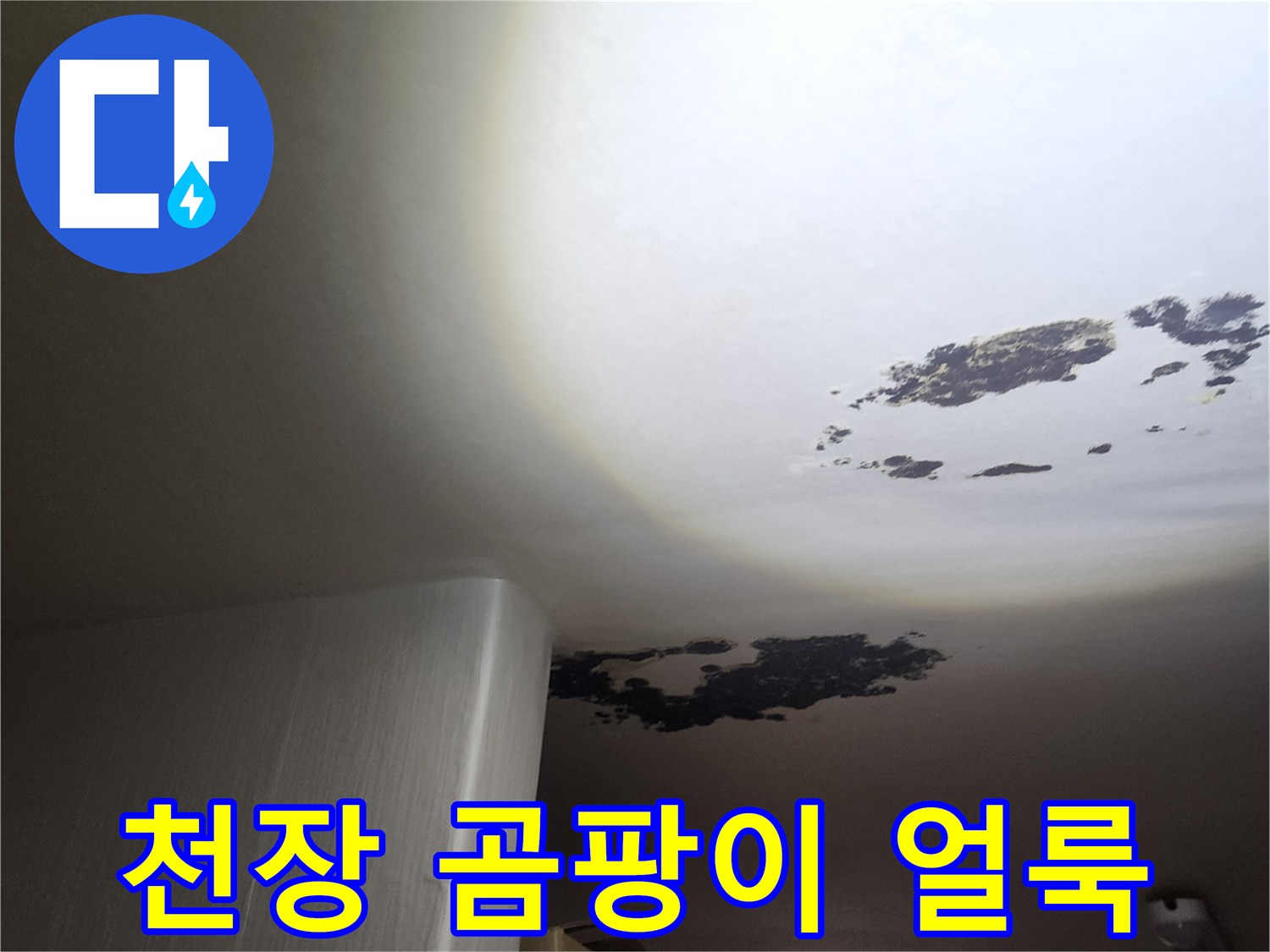 포천 구읍리 현장-천장에 발생한 검은 곰팡이와 물 얼룩 상태