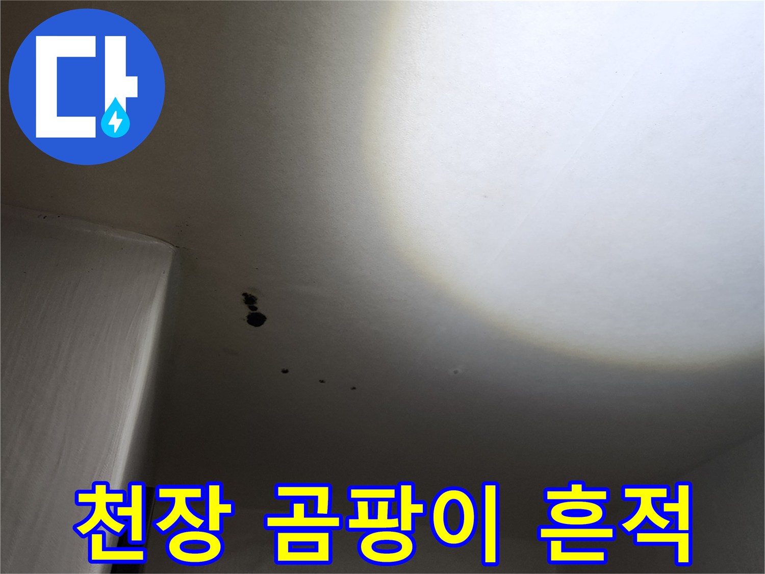 포천 구읍리 현장-천장에 발생한 검은 곰팡이와 습기 자국