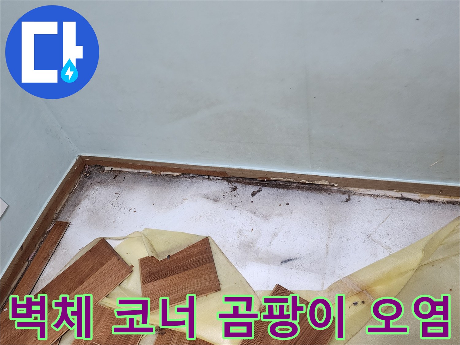 벽면과 바닥 접합부-심한 습기와 곰팡이가 발생한 현장