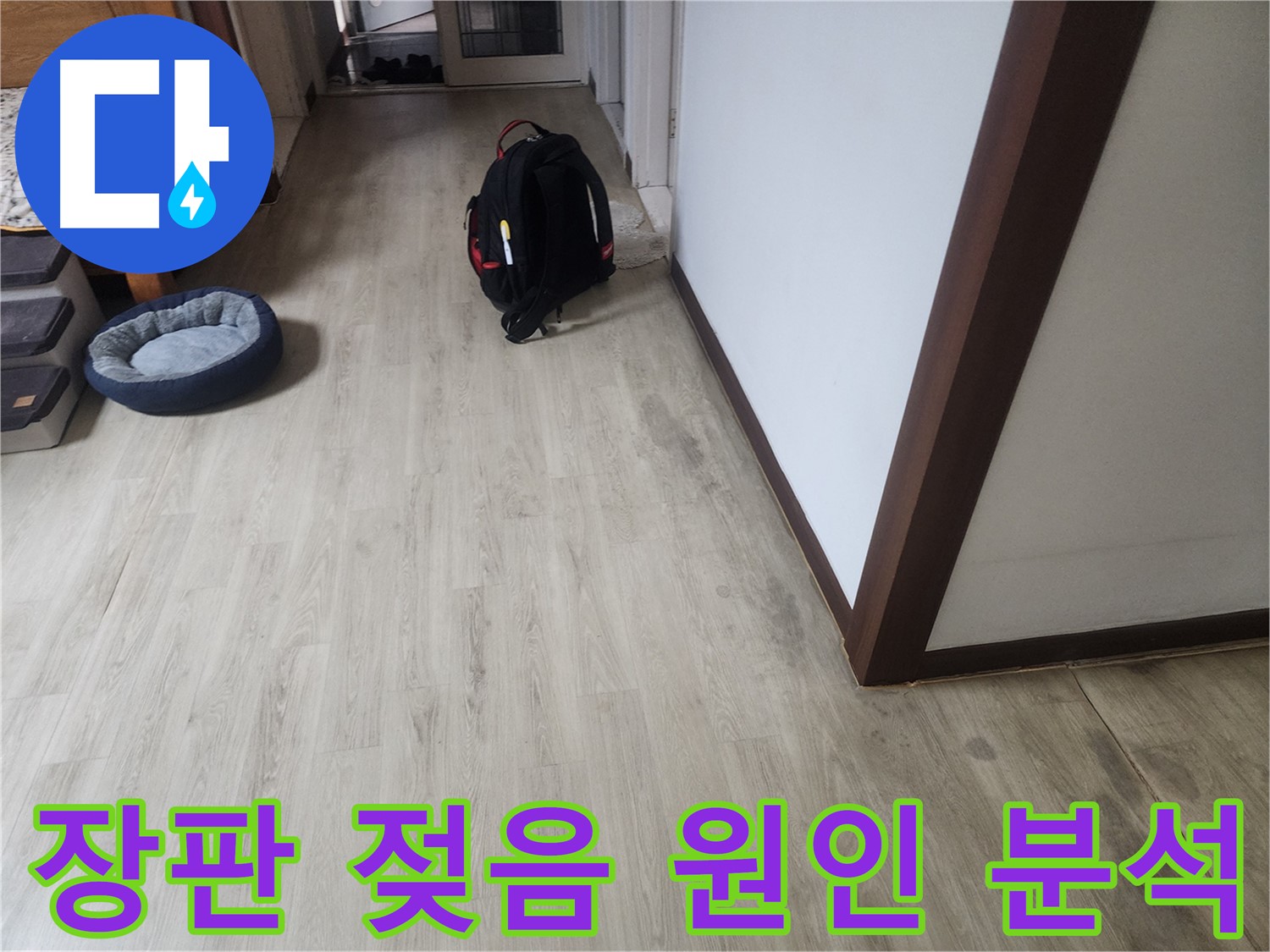 권선구 아파트 누수 - 장판 젖음 원인 정밀 분석