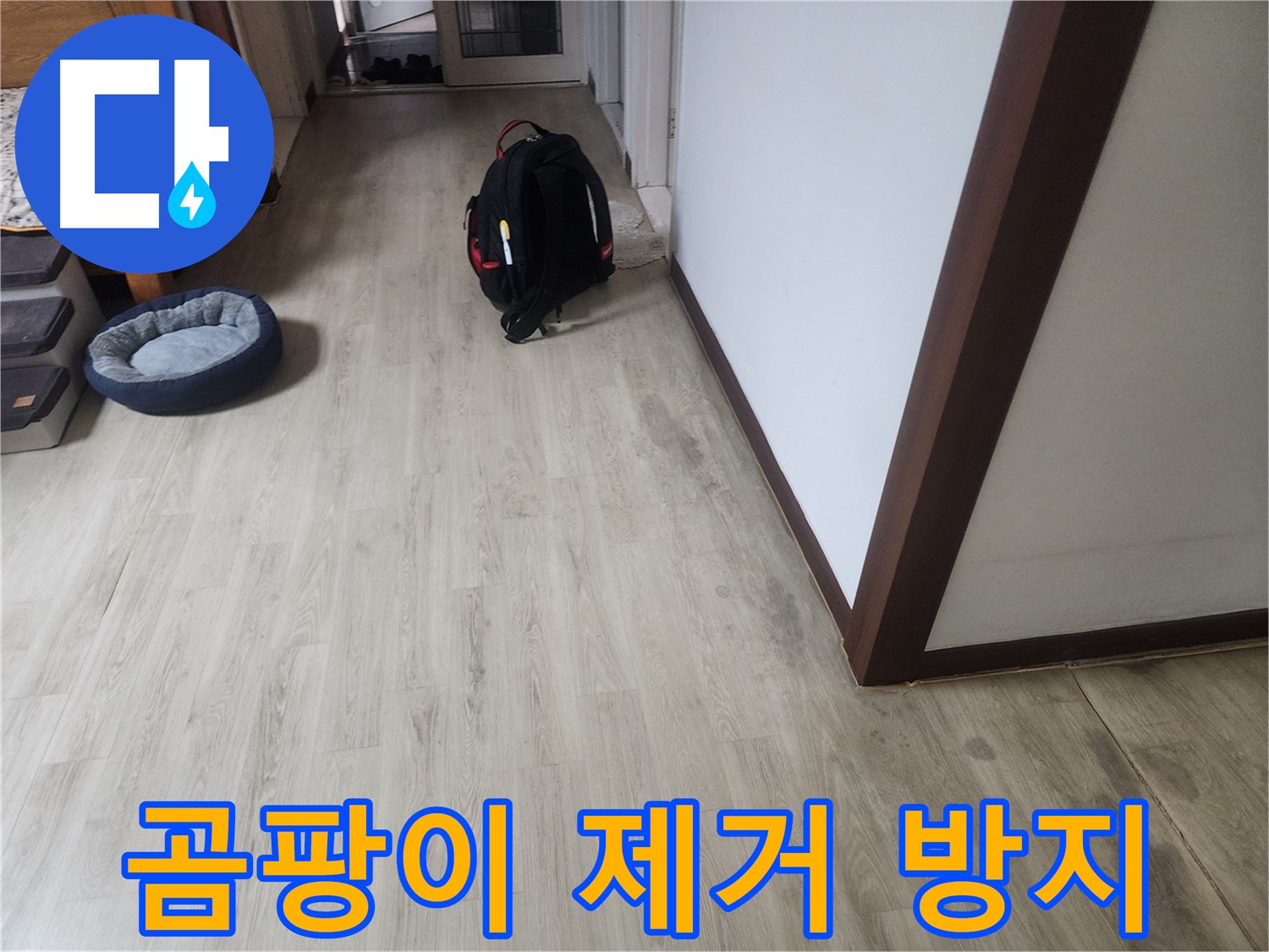 수원 권선구 누수 - 장판 곰팡이 제거 및 방지 시공