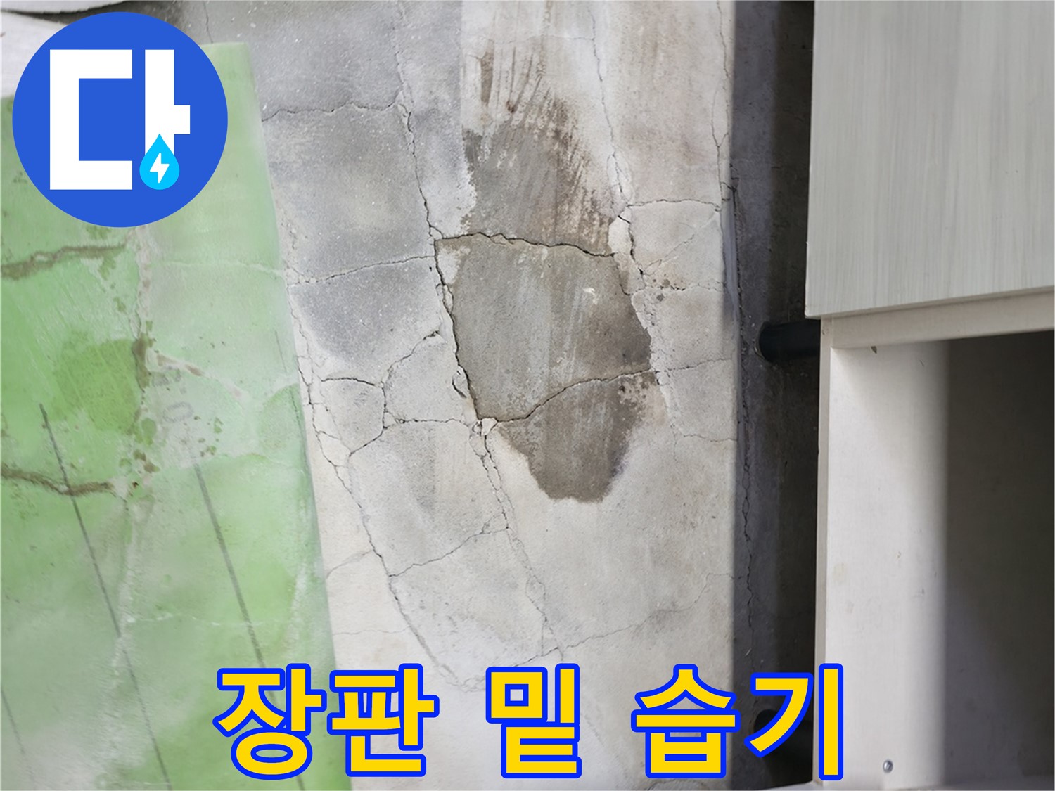 포천 신읍동 - 장판 밑 습기, 곰팡이가 서식하기 쉬운 환경