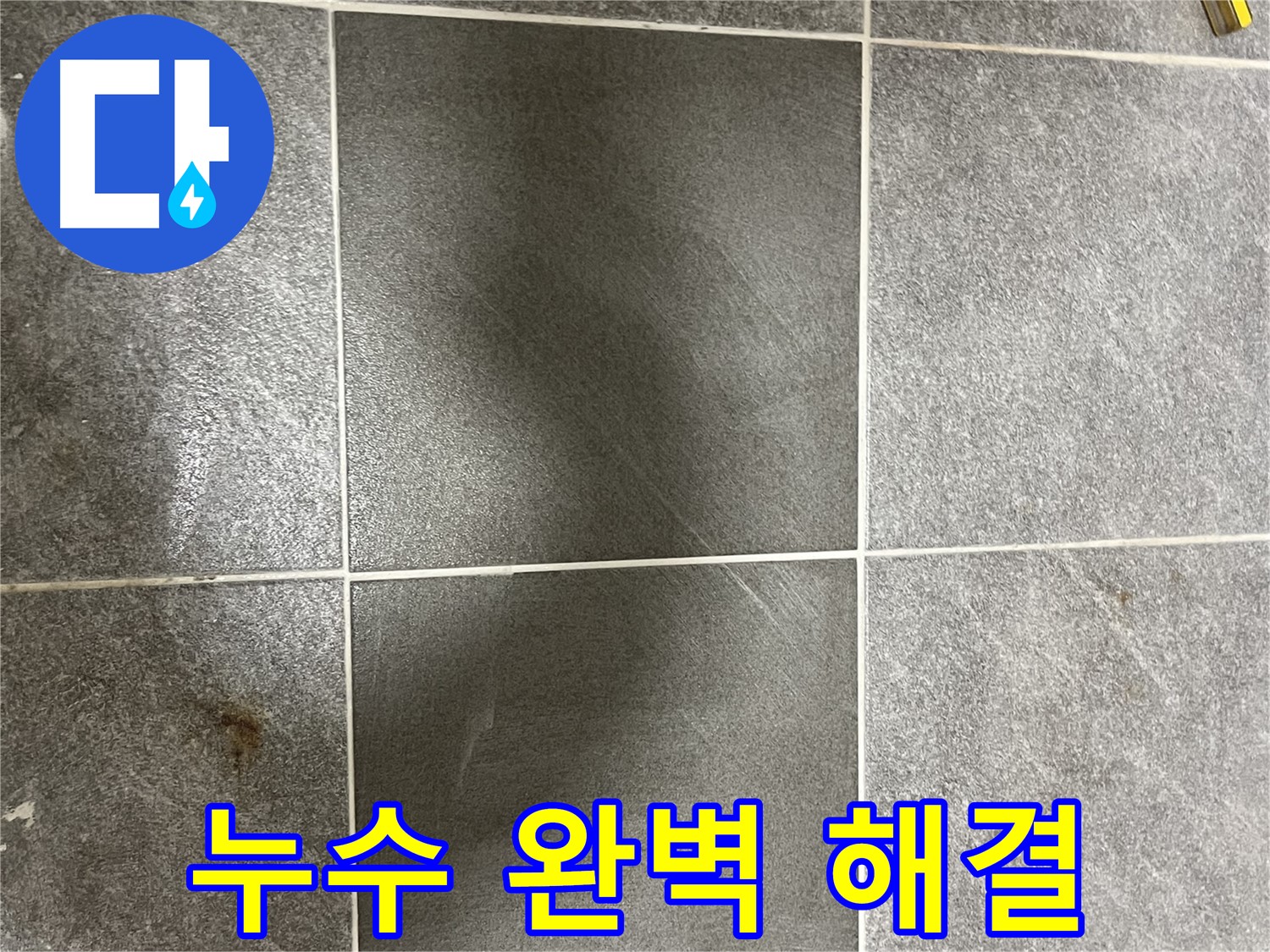 의정부 가능동 목인아트빌라 곰팡이 틈새 - 완벽한 누수 해결로 고객님의 만족도를 높여드립니다.