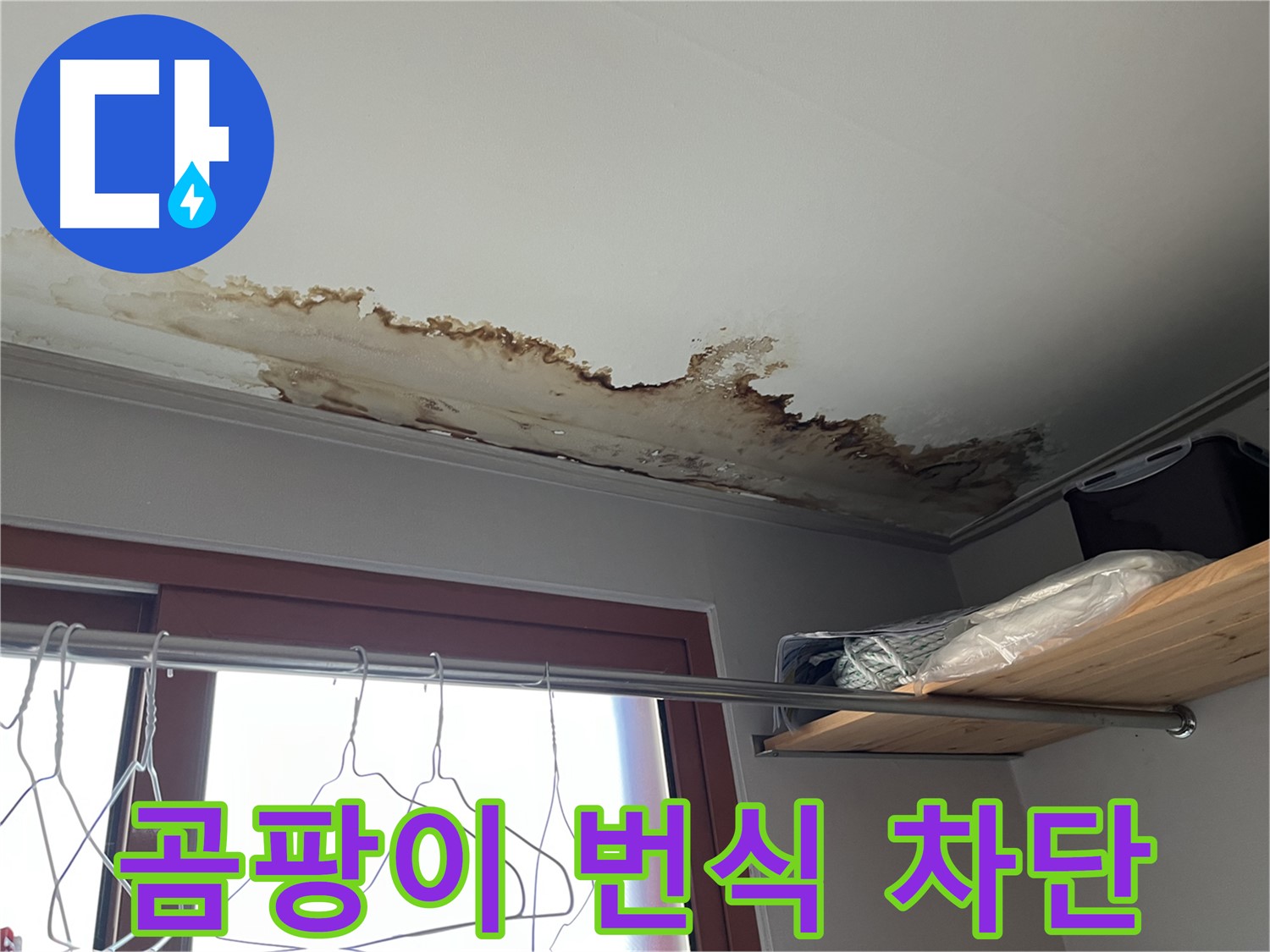 의정부 가능동 빌라 천장 누수 - 곰팡이 번식 차단을 위한 긴급 조치!